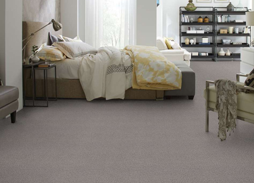 Nylon Carpet New Flooring & Installation in  Avondale