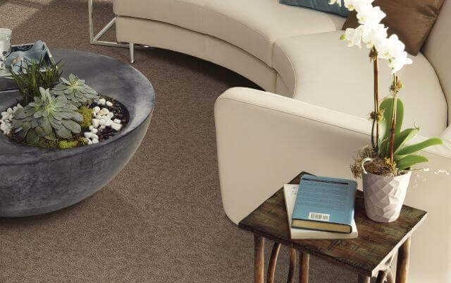 Low Cost Carpet Floors