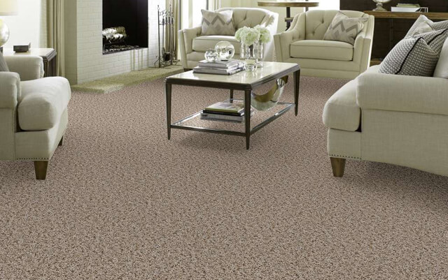 Durable Carpet Floors