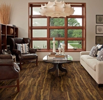 Best Quality Luxury Vinyl Plank in Gold Canyon