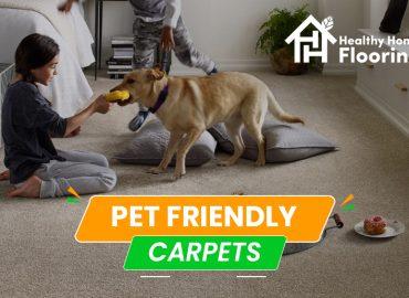Pet friendly carpets