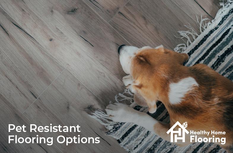 Pet resistant flooring options